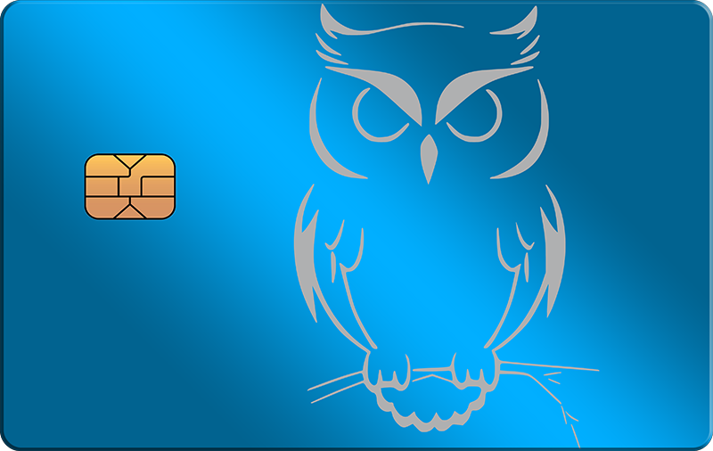 Owl 2